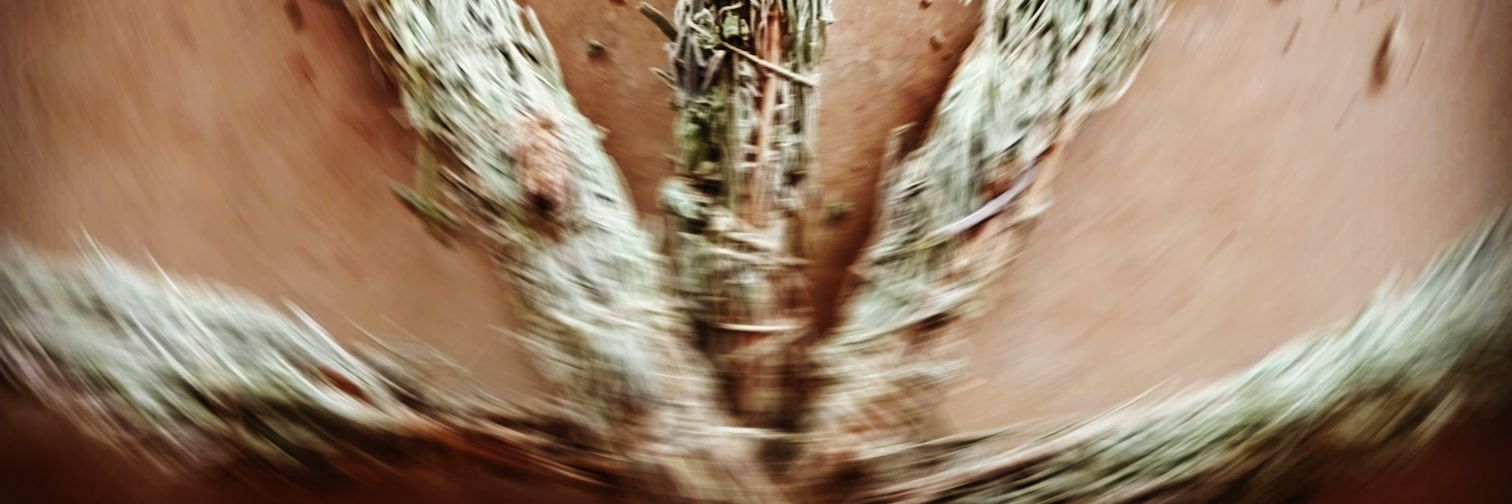 dead2thacore's profile banner image