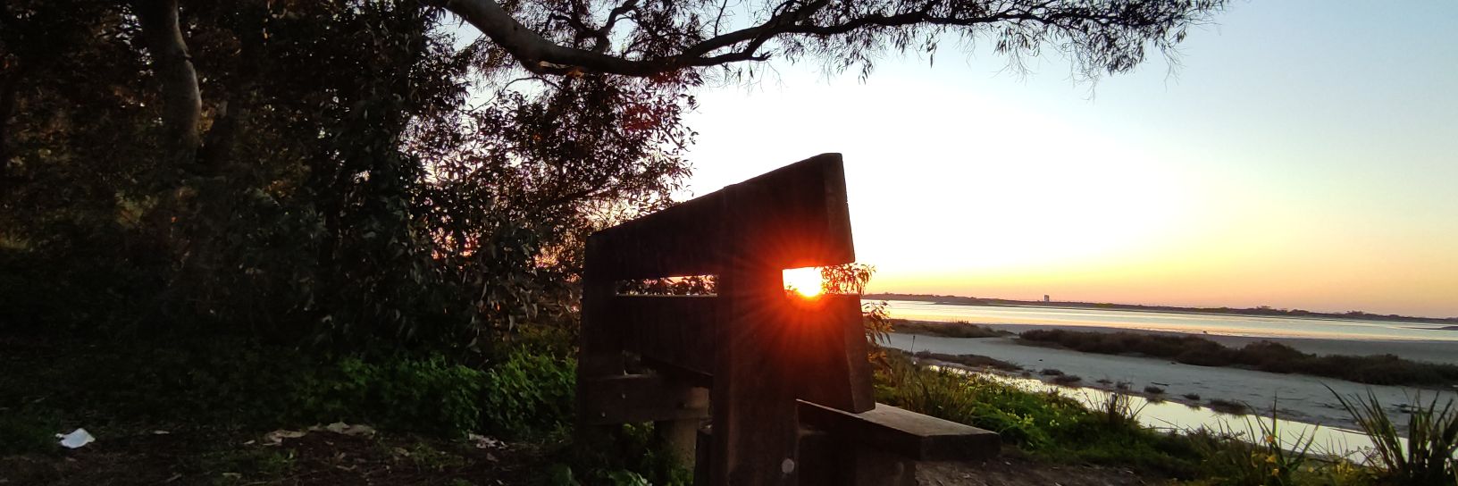 ccherbuylaisla's profile banner image