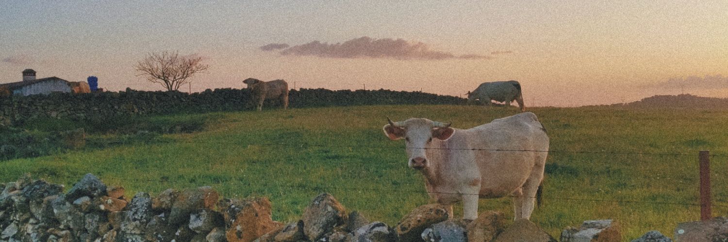 EstibalizSolis's profile banner image
