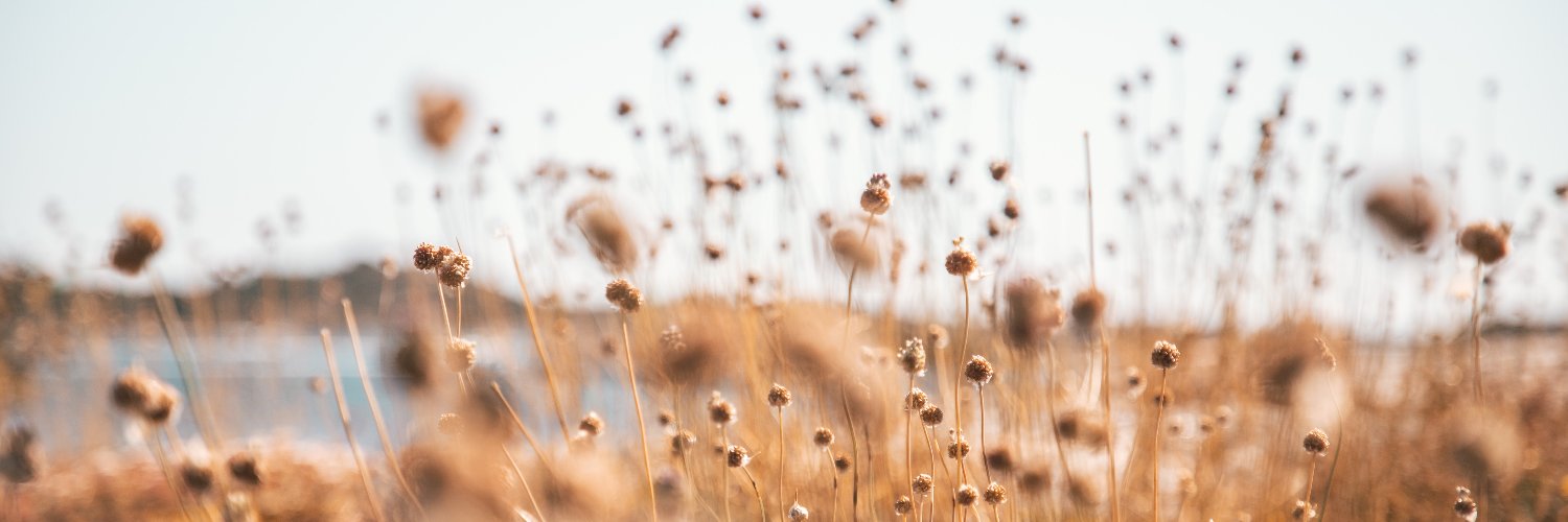SatuRsnen's profile banner image