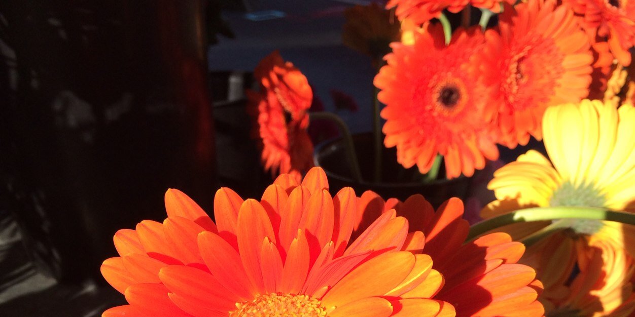 yu_uan365's profile banner image