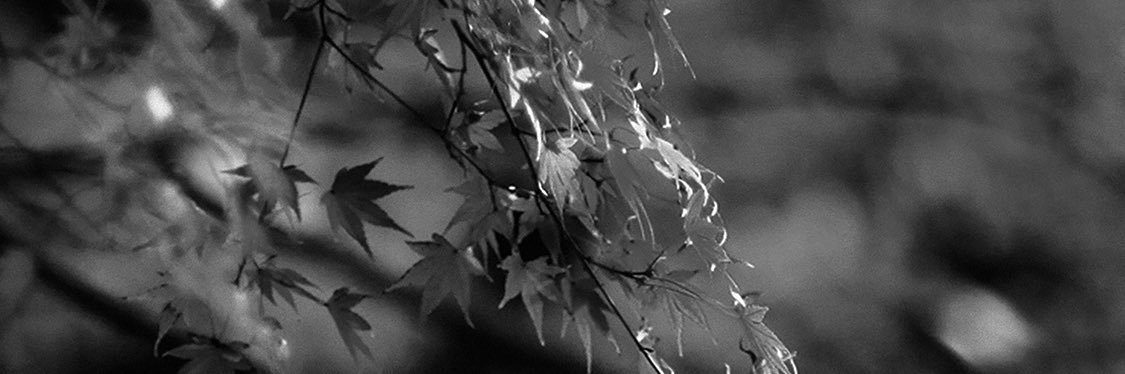 12_CK__'s profile banner image