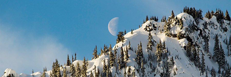 briaspano15's profile banner image