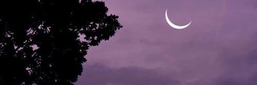 danimarins18's profile banner image