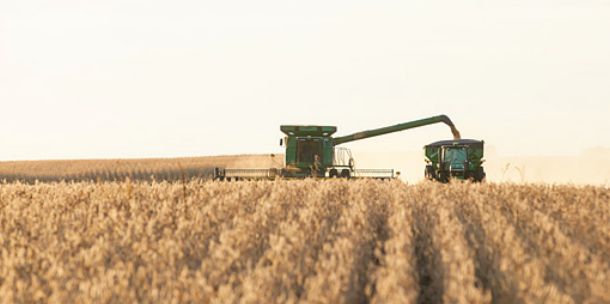 caseyericksonag's profile banner image