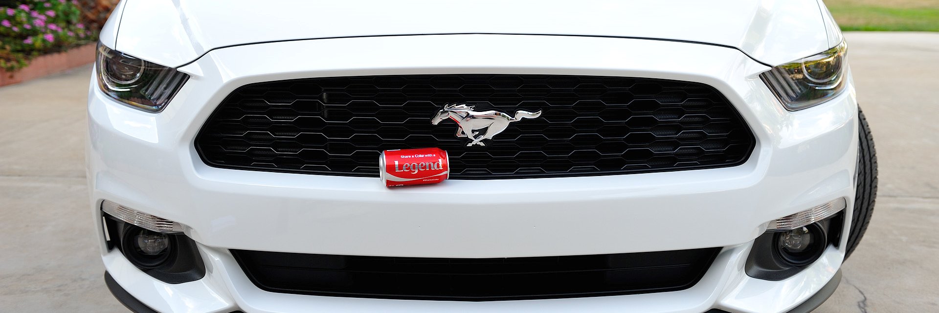 Christopher Hartman banner