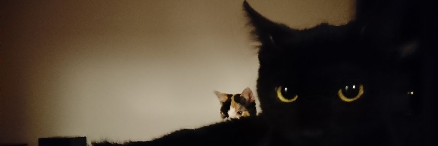 dasiux's profile banner image