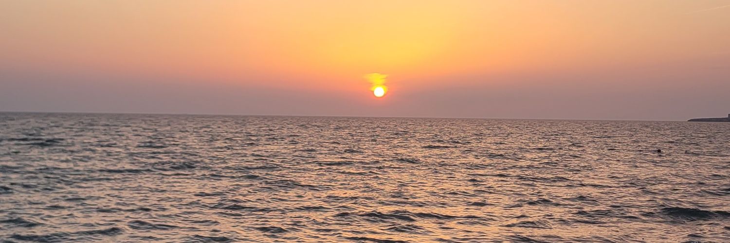 fabio guadagnini banner
