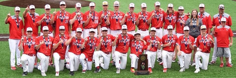 Morton Baseball banner