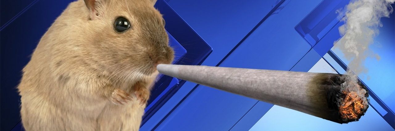 NoGoodNickname's profile banner image