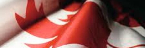 RoborBobor Profile Banner