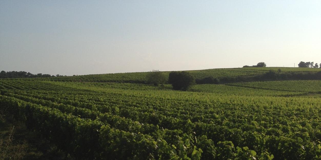 Matt Callender banner