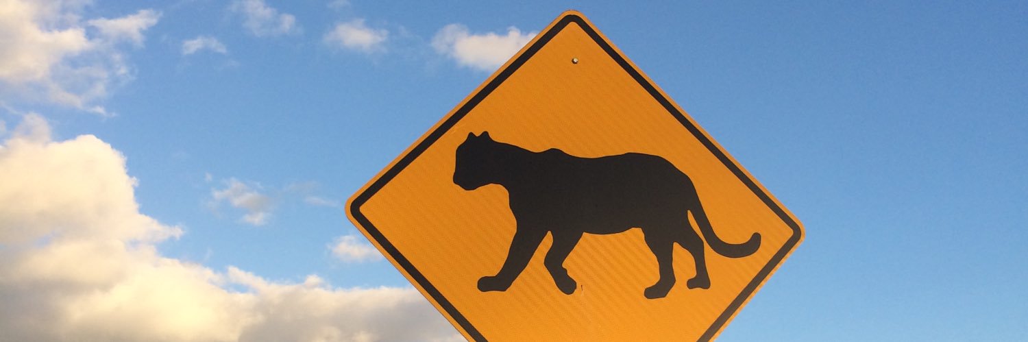 Michelle the Midwest Princess banner