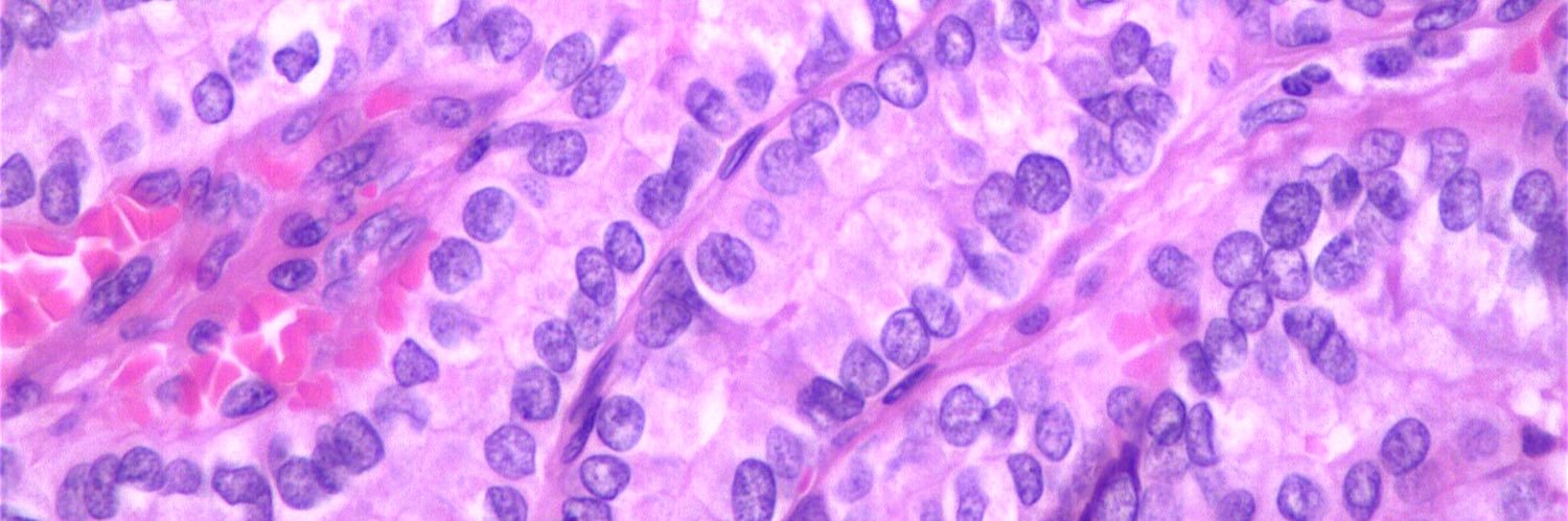 Estef Valdés banner