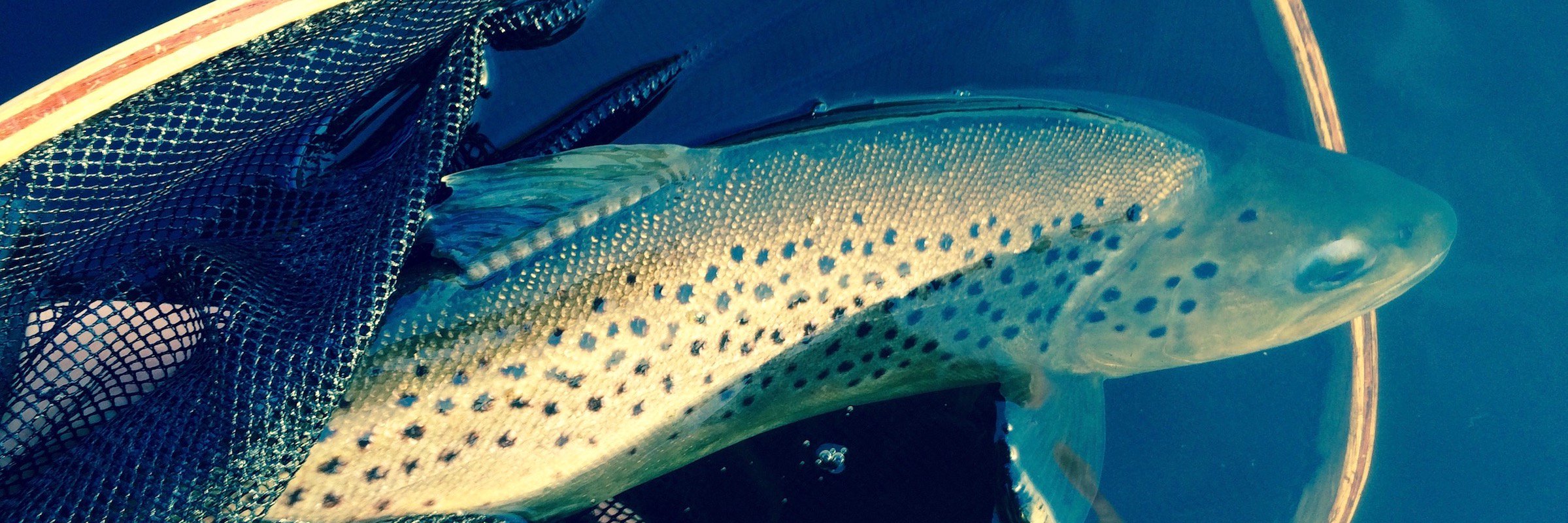 PortAnglingClub's profile banner image