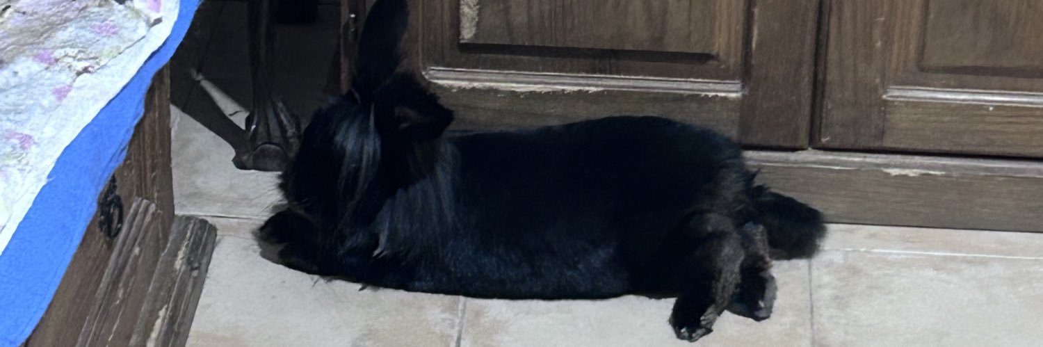 macajuan_'s profile banner image