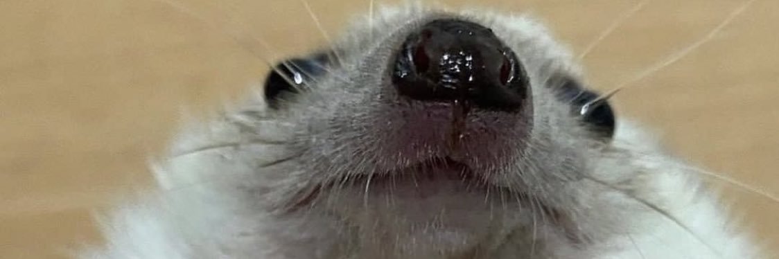 fedemontep's profile banner image