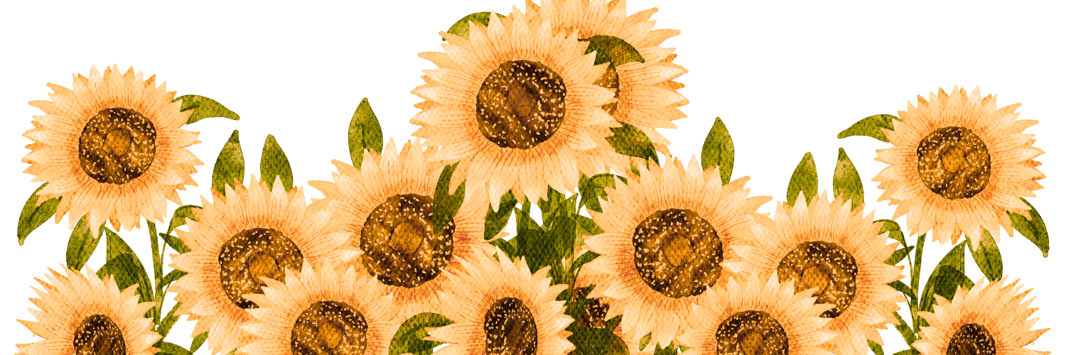 𓂃˖˳ ִ⋆𝑀𝐸𝐼𝑀𝐸𝐼𓂃 banner
