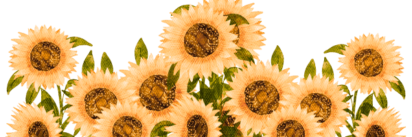 blushingpetals Profile Banner