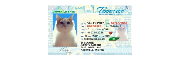 infinitycat Profile Banner