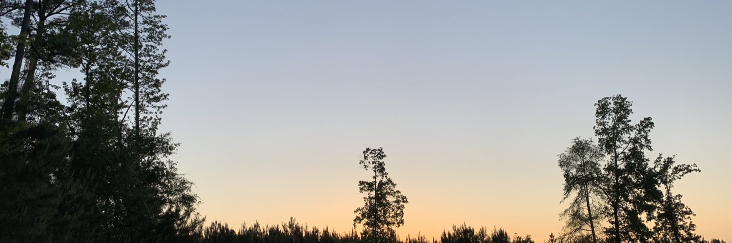 blakebrittain's profile banner image