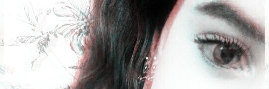 Ines_VanDam's profile banner image