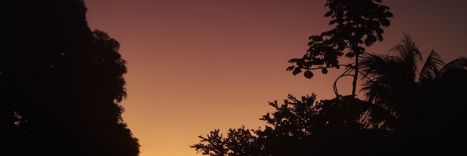 AngieCisneros97's profile banner image