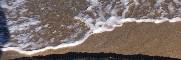paulilacc's profile banner image