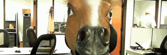 CoachPoach2024 banner