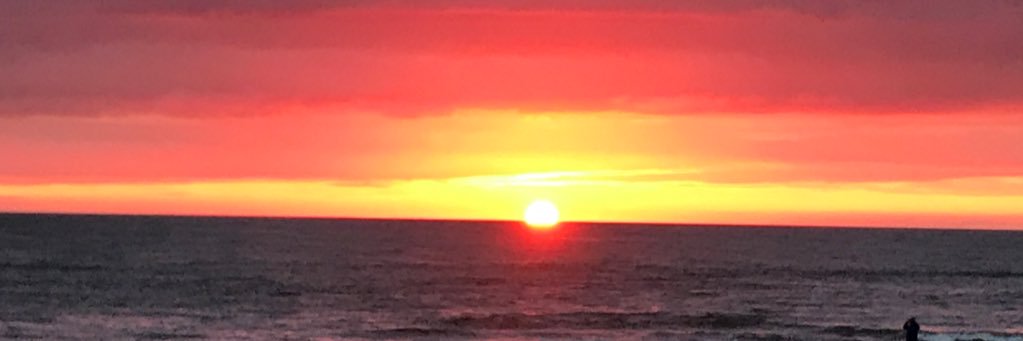 maley81's profile banner image