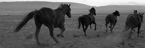 halfwaystation's profile banner image