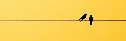 adhwa222's profile banner image