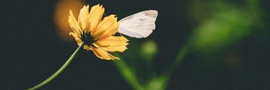 TheSoundWisdom's profile banner image