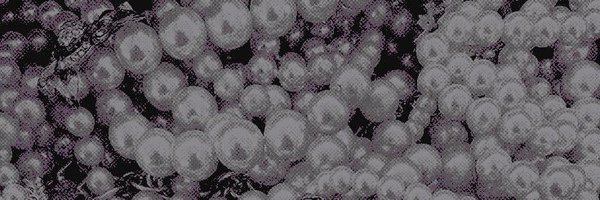 PEARLEDSECRETS Profile Banner