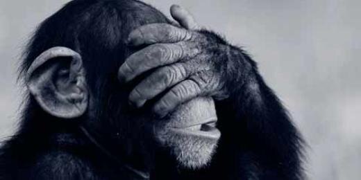 Monkeypartner's profile banner image