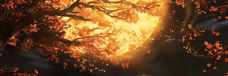 jebellll's profile banner image