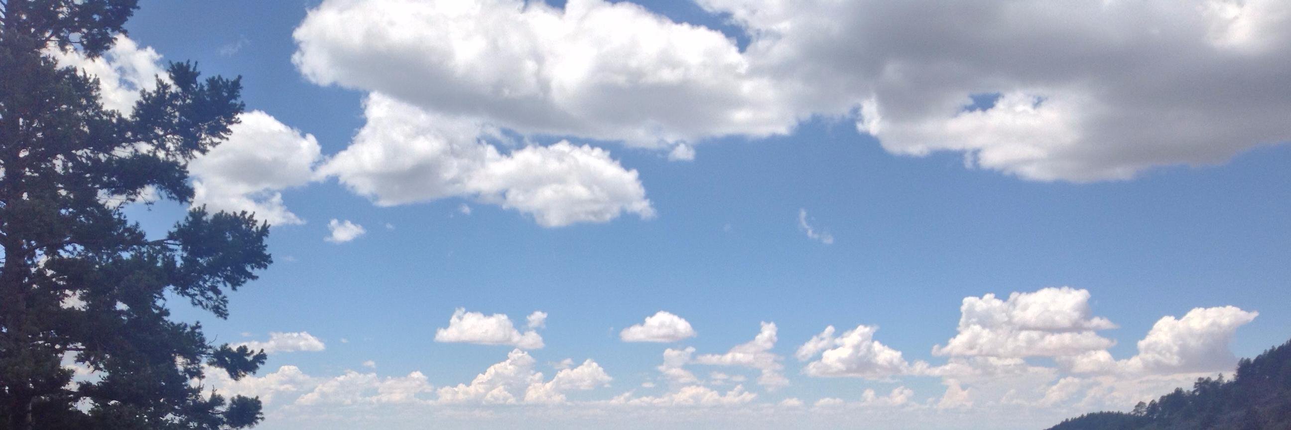 AWilcox616's profile banner image