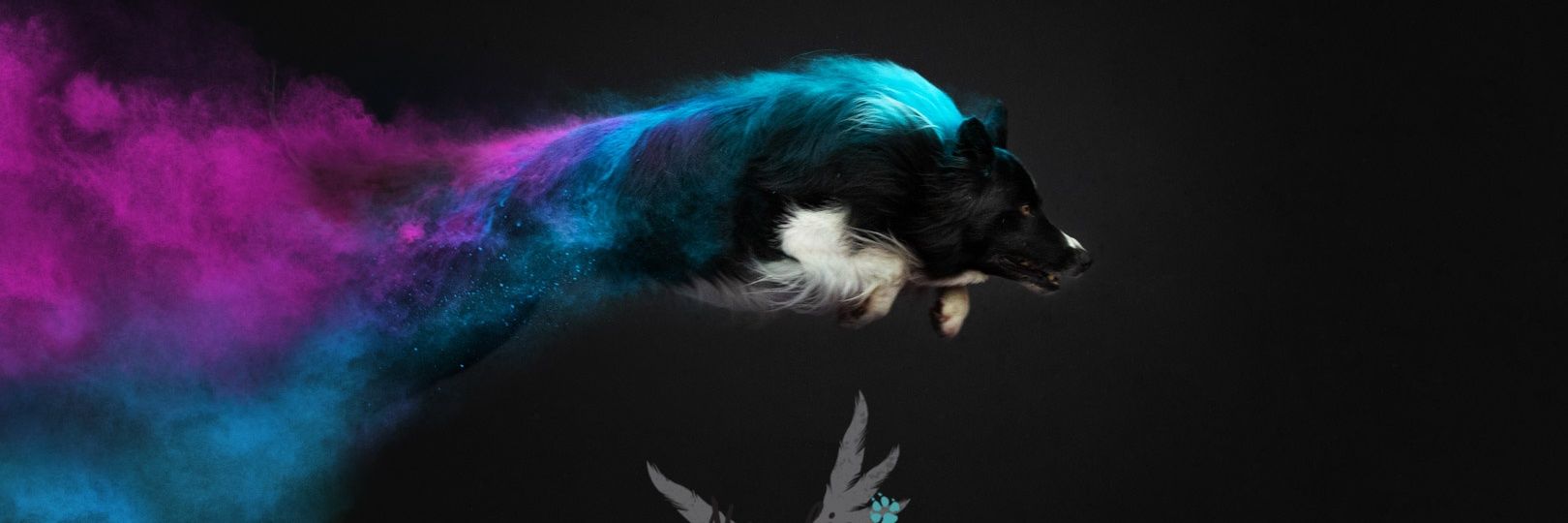 Noxphics's profile banner image
