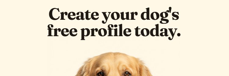 DogsLifeHQ's profile banner image