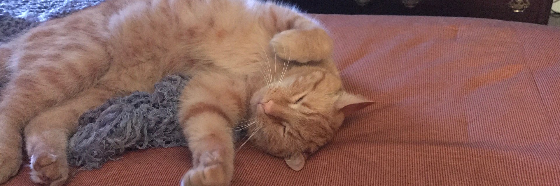 Jonathan S. Dordick, Ph.D. banner