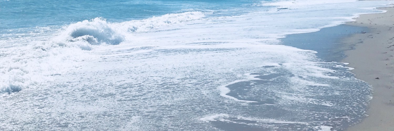ShaunaLeePos's profile banner image
