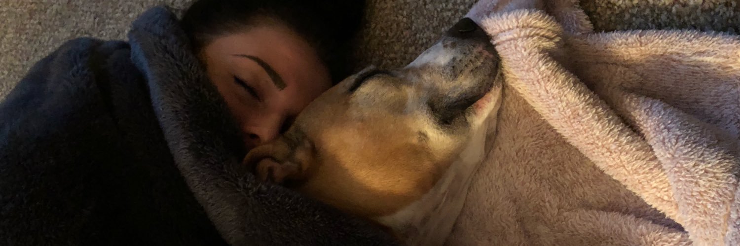 Steeeephyy's profile banner image