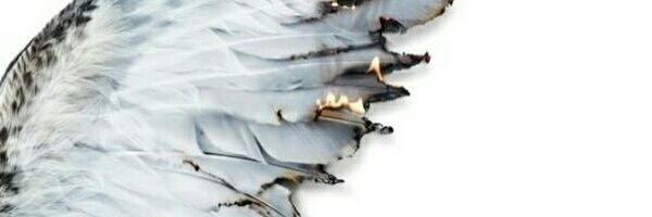x banner