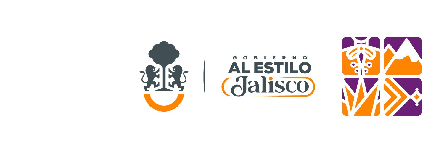 IIEG Jalisco banner