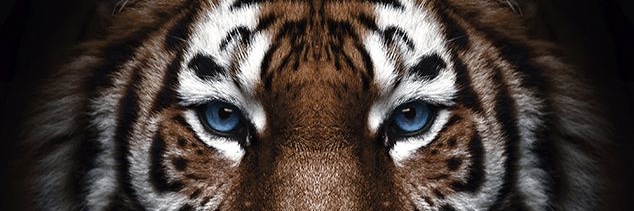 paddy_16's profile banner image