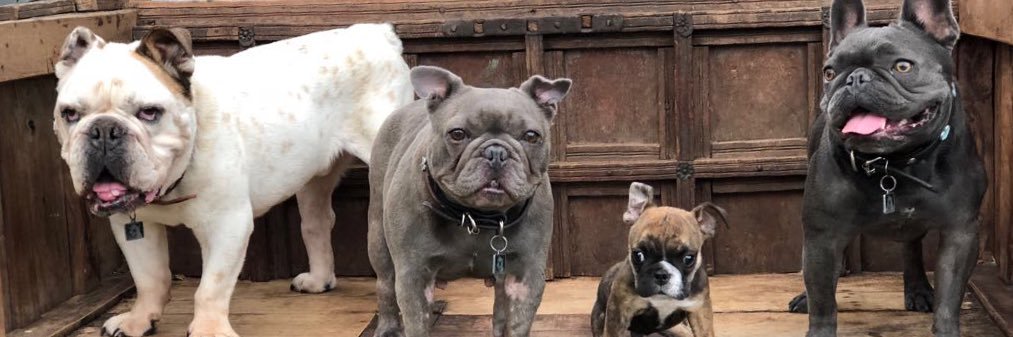 Road Dogs & Rescue🤘🏼 banner