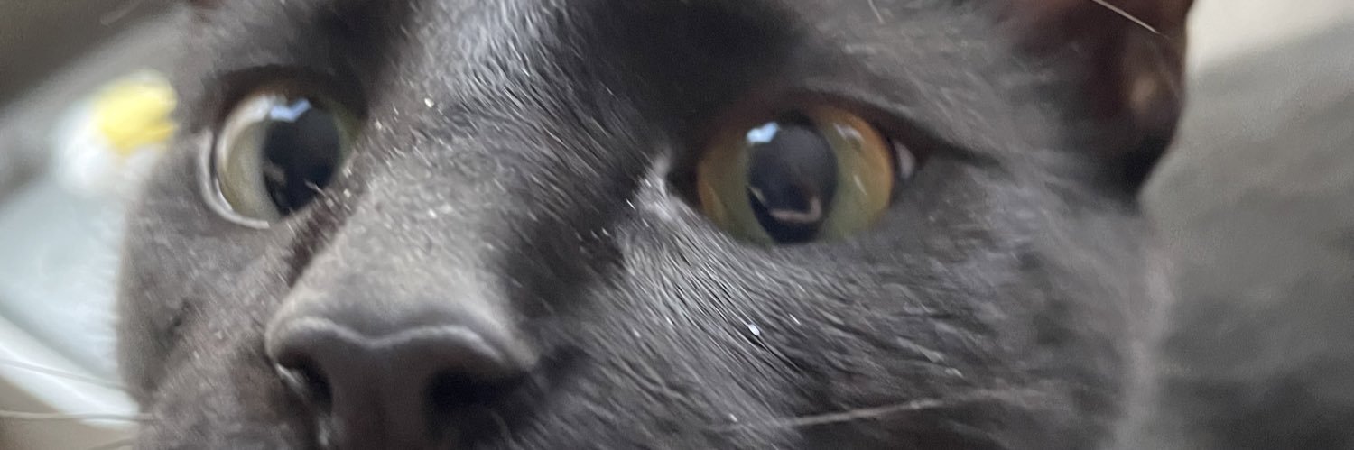 shadowstorm94's profile banner image
