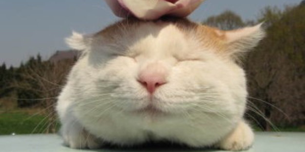 maitorng's profile banner image