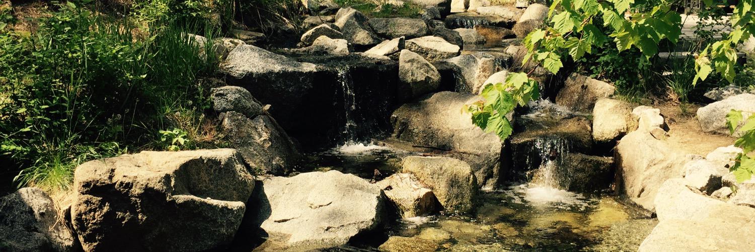 Lindseylee253's profile banner image