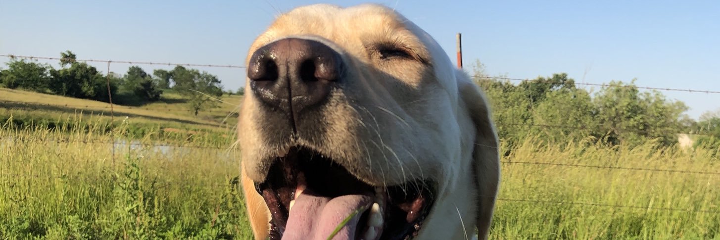 HalliKarr's profile banner image